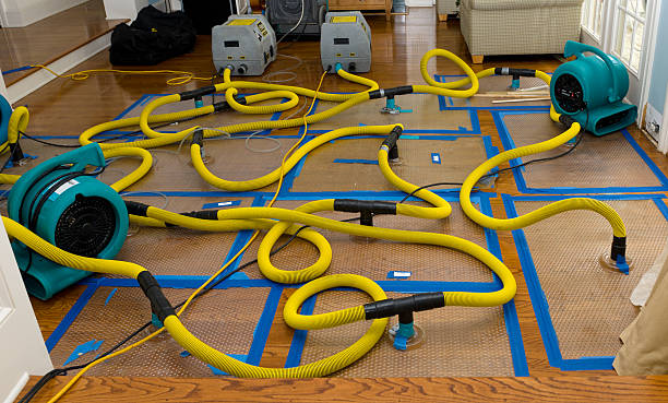 Professional Crawl Space Water Removal technician working in Kirtland AFB, NM